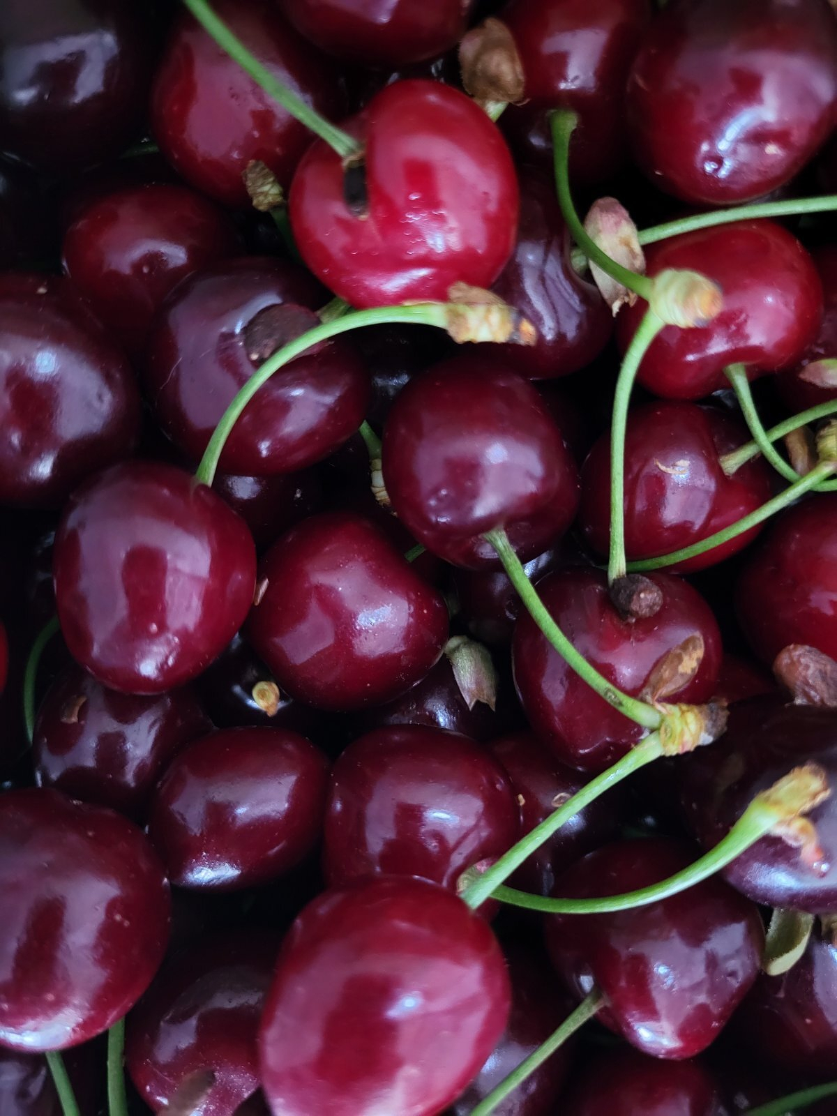 Cherries 